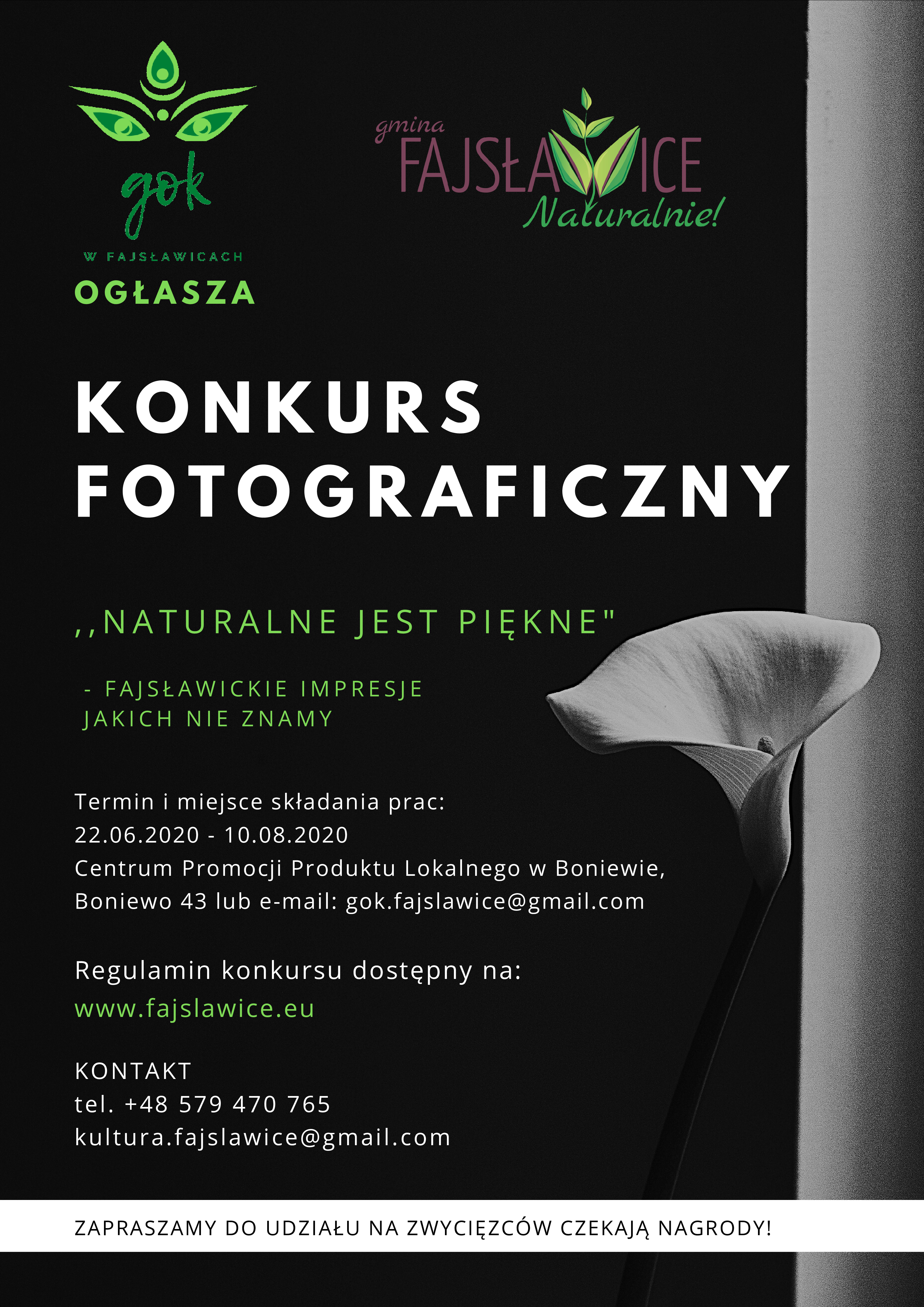 Konkurs Fotograficzny 2020 plakat PDF 1