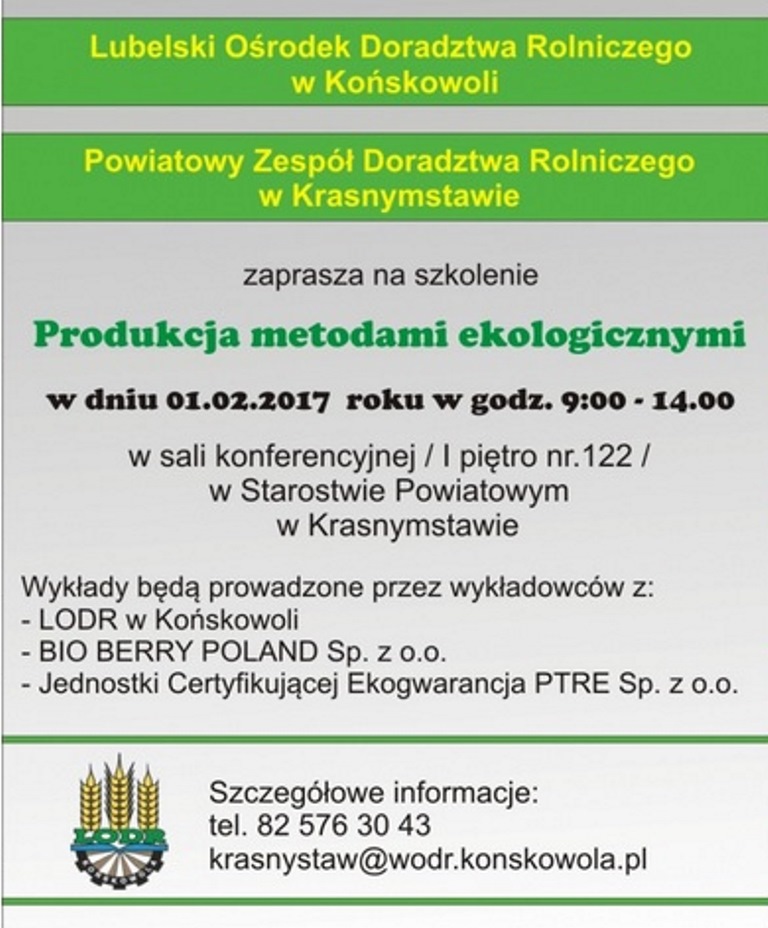 Bez tytułu