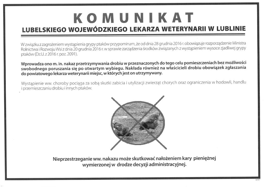 komunikat